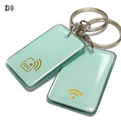 بطاقة تحكم الوصول المخصصة للطباعة NFC 13.56Mhz RFID Epoxy Tag NFC Keychain MIFARE Classic EV1 1K